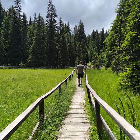 Apartments S73&S74 Milmari Resort, Kopaonik Luaran gambar